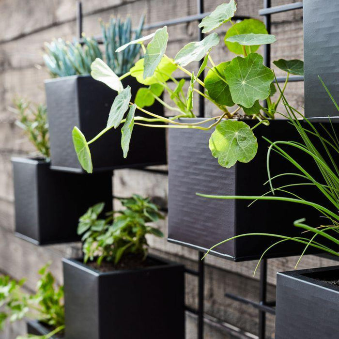 4 Box Wall Mounted Indoor/Outdoor Planter - Crate and Barrel Philippines