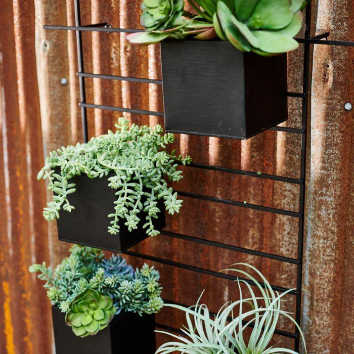 4 Box Wall Mounted Indoor/Outdoor Planter - Crate and Barrel Philippines