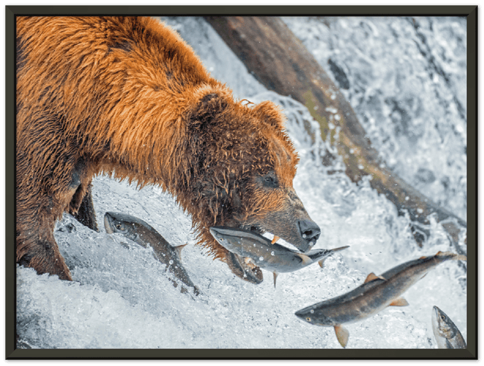 16" x 12" / Metal Frame