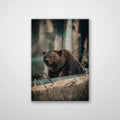 Bear in the Forest - Print - MetalPlex