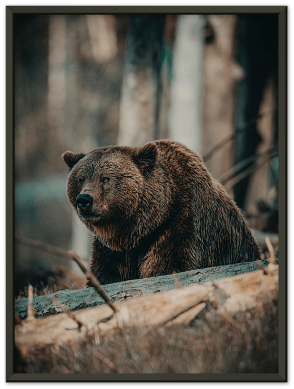 16" x 12" / Metal Frame