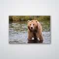 Bear in the Lake - Print - MetalPlex
