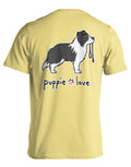 BORDER COLLIE PUP (BLACK & WHITE) PUPPIE LOVE
