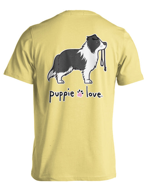 BORDER COLLIE PUP (BLACK & WHITE) PUPPIE LOVE