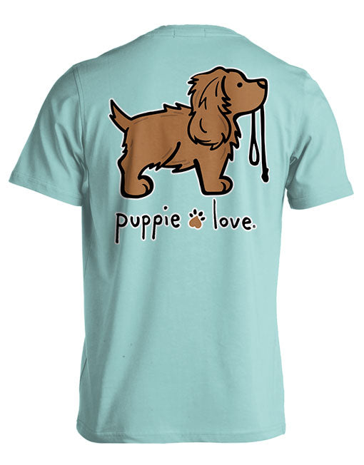 BOYKIN SPANIEL PUP PUPPIE LOVE