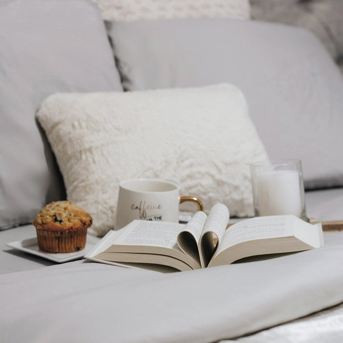 Brushed Silver Sheet Set