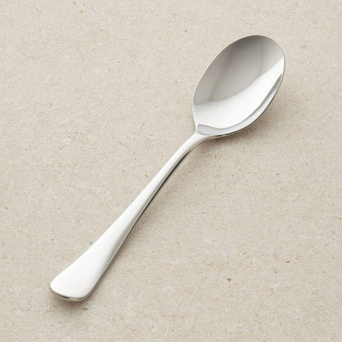 Caesna Mirror Serving Spoon - Crate and Barrel Philippines