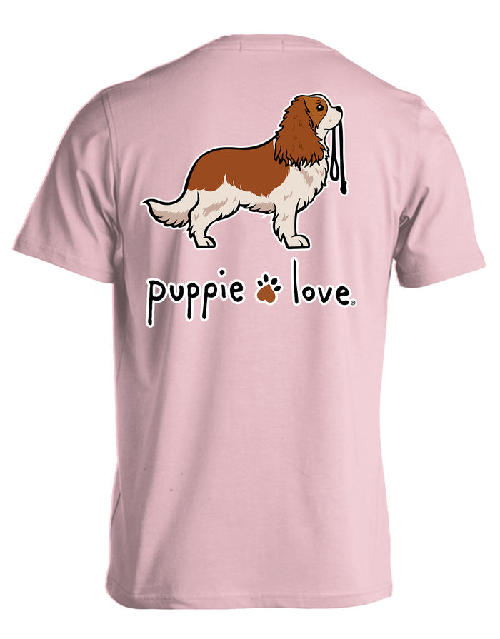 CAVALIER KING CHARLES SPANIEL PUP (BLENHEIM) PUPPIE LOVE