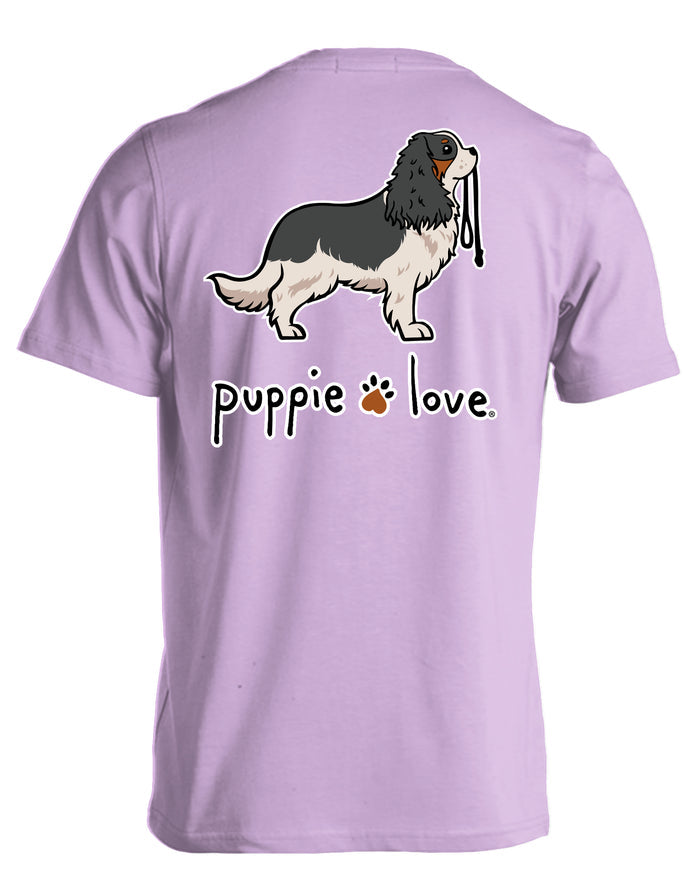 CAVALIER KING CHARLES SPANIEL PUP (TRICOLOR) PUPPIE LOVE