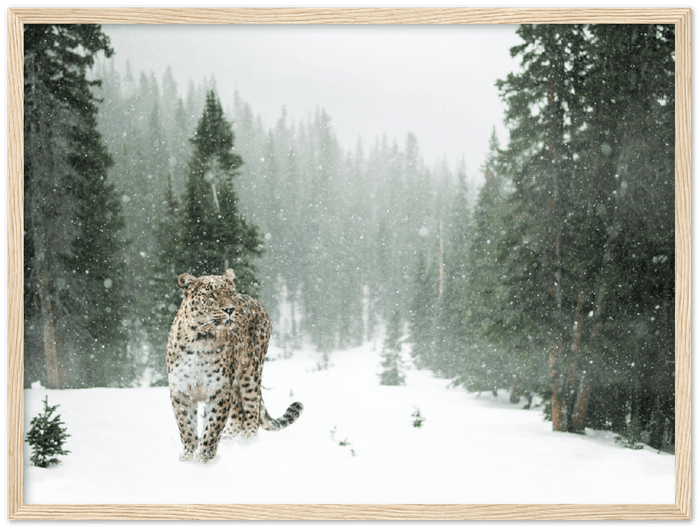 16" x 12" / Wood Frame