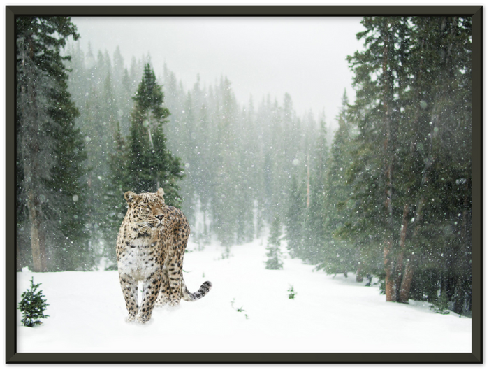16" x 12" / Metal Frame