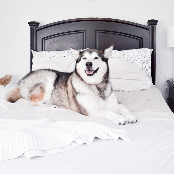 Classic White Sheet Set