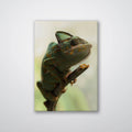 Climbing Chameleon - Print - MetalPlex