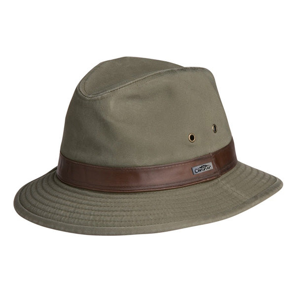 Olive / SM