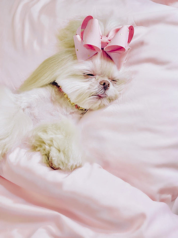 Cotton Candy Pink Sheet Set