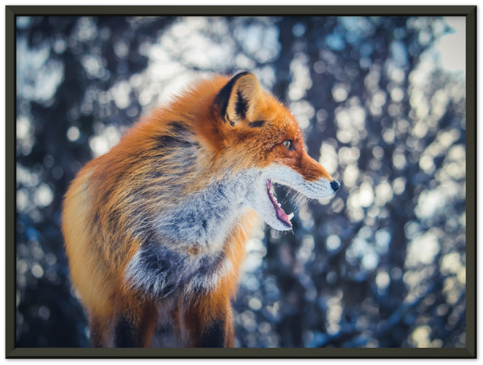 16" x 12" / Metal Frame