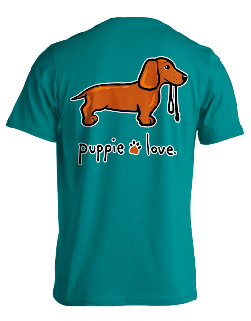 DACHSHUND PUP, SHORT HAIR PUPPIE LOVE