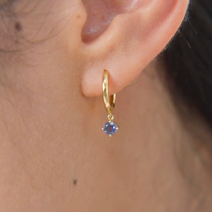Birthstone Drop Huggies - Dec - Color 2.mp4