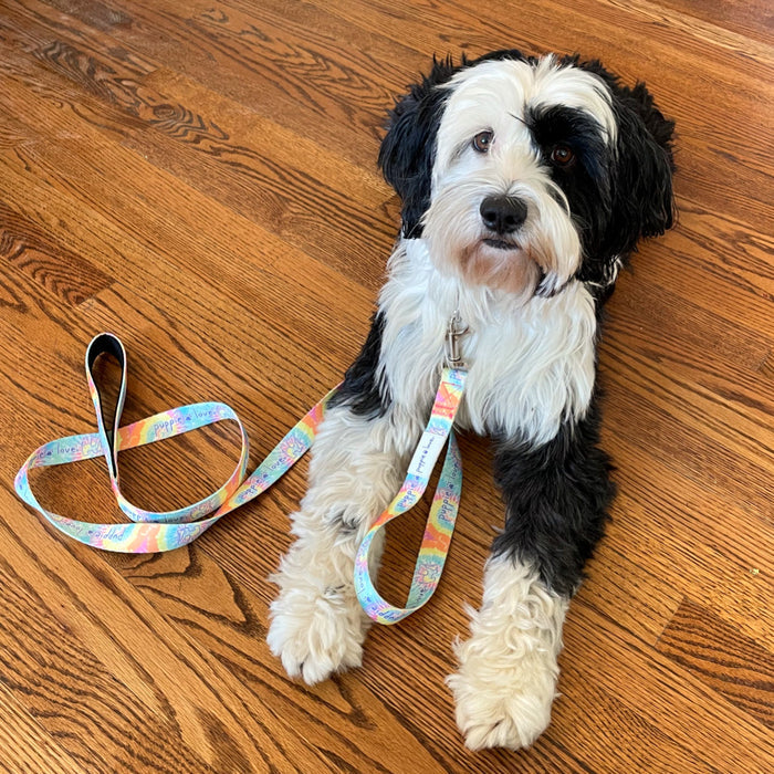 DOG LEASH, AERIAL SUPER SALE PUPPIE LOVE