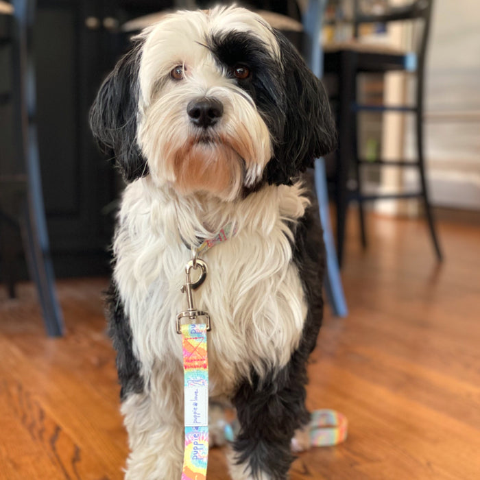 DOG LEASH, AERIAL SUPER SALE PUPPIE LOVE