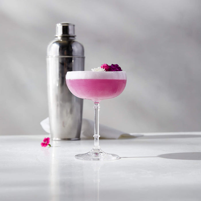 Easton Stainless Cocktail Shaker