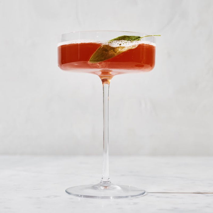Edge 12-Oz. Coupe Glass