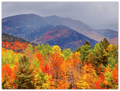 Fall Adirondack Mountains - Print - MetalPlex