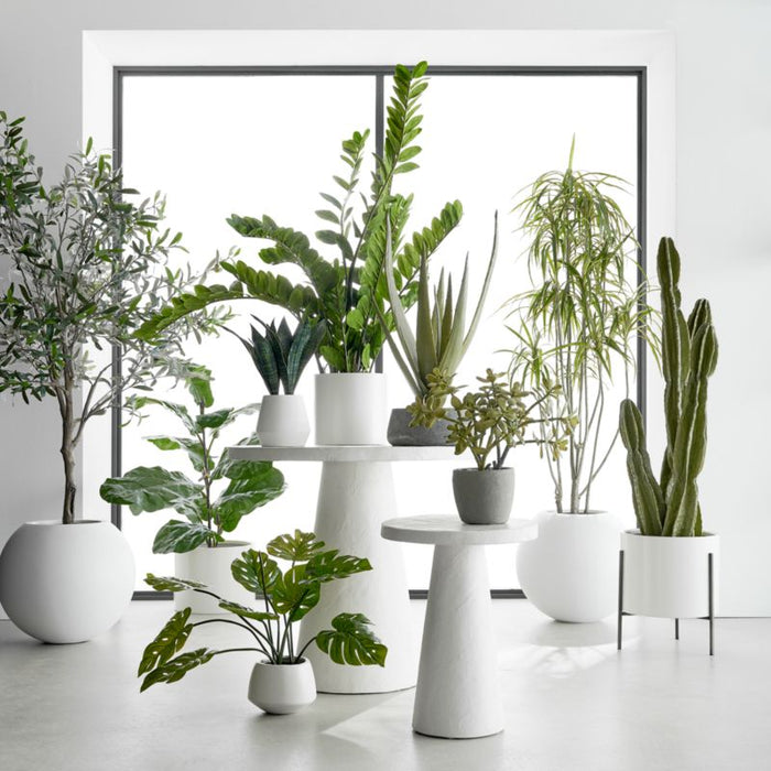 Faux Potted Agave