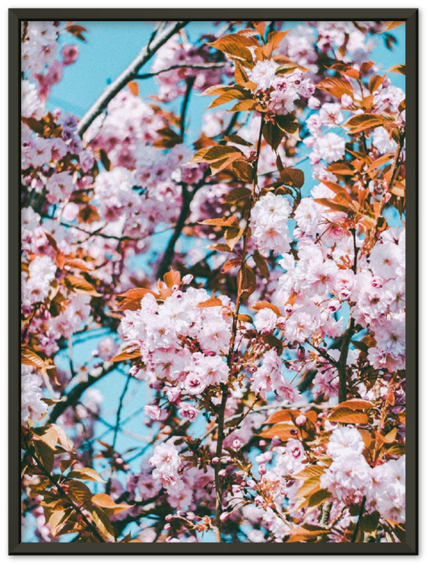 Floral - Print - MetalPlex