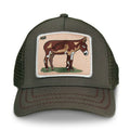 Goorin - Donkey Baseball Cap - Front