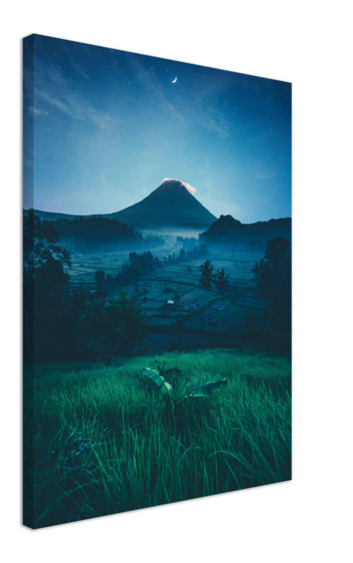 Grass Field Night - Print - MetalPlex