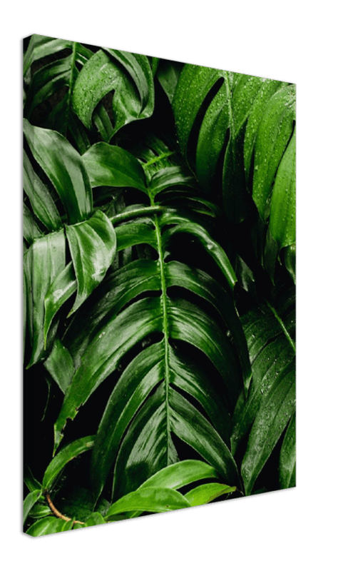 Green Leaves - Print - MetalPlex