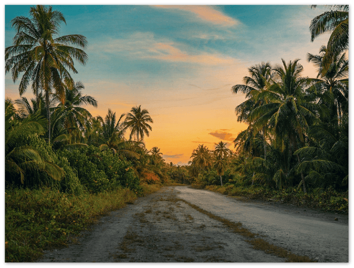 Hawaii Backroad - Print - MetalPlex