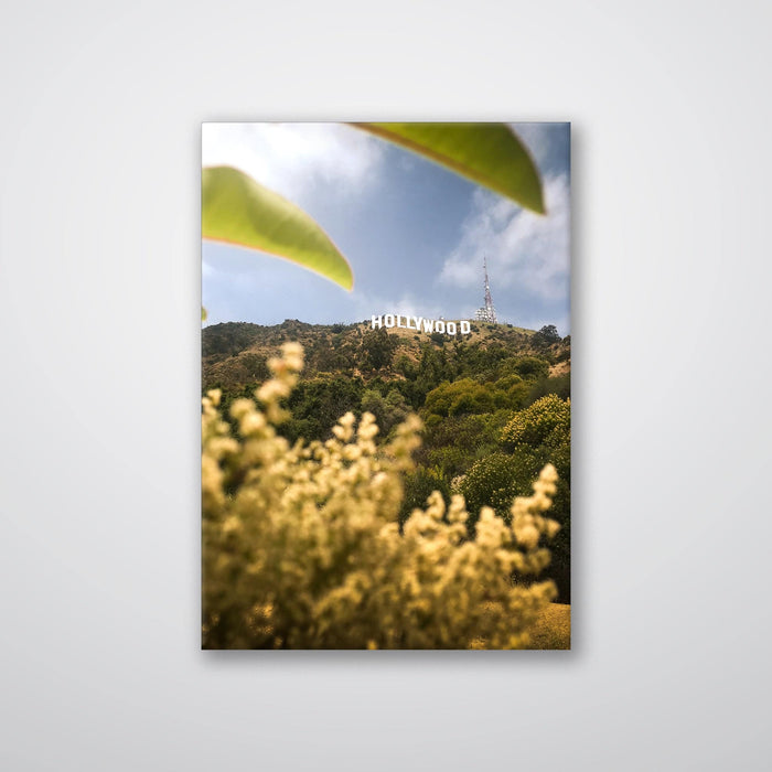 Hollywood - Print - MetalPlex