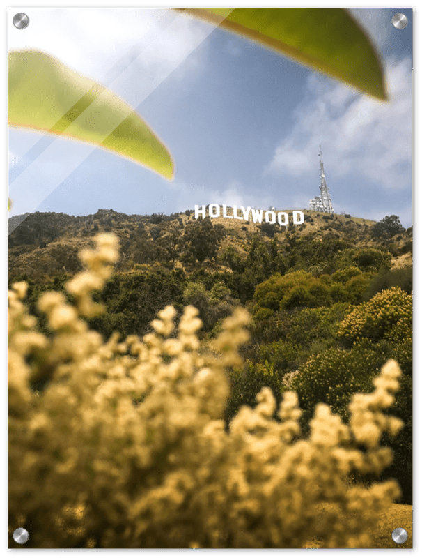 Hollywood - Print - MetalPlex