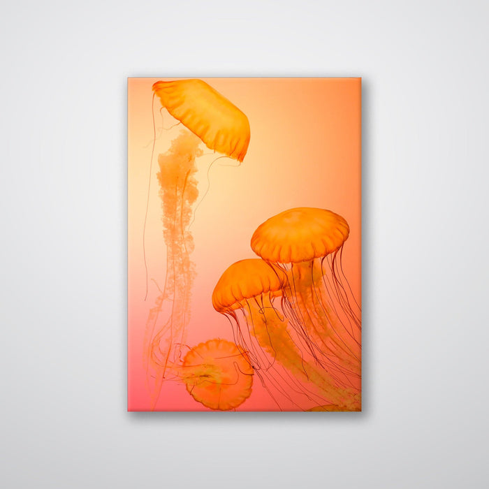 Jellyfish Alternative - Print - MetalPlex