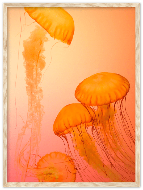 16" x 12" / Wood Frame