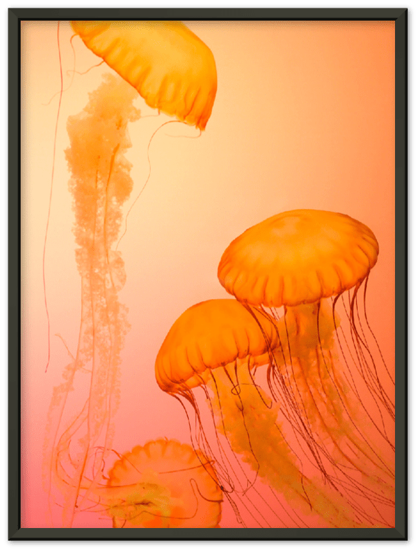 16" x 12" / Metal Frame