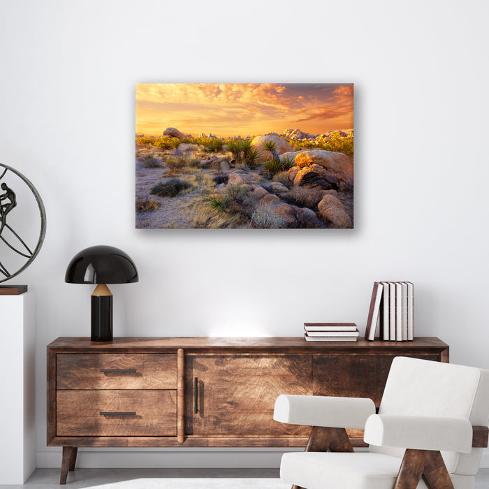 Joshua Tree Sunset - Print - MetalPlex