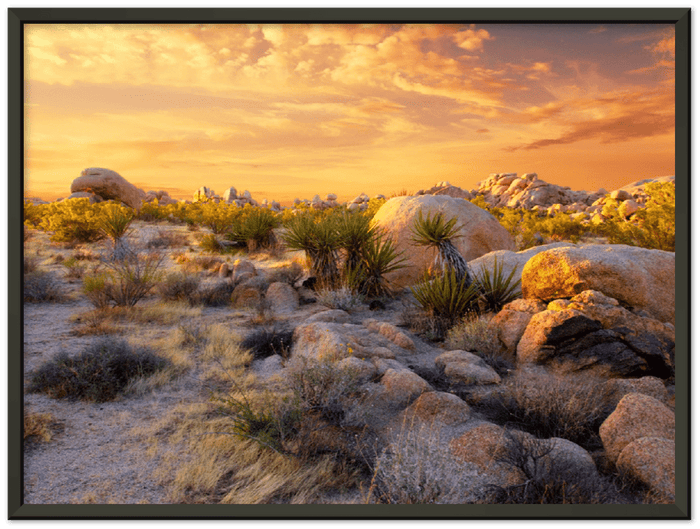 16" x 12" / Metal Frame