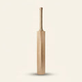 Kashmir Willow Cricket Bat