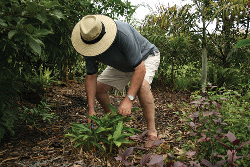 Model Wearing Kooringal Straw Gardener