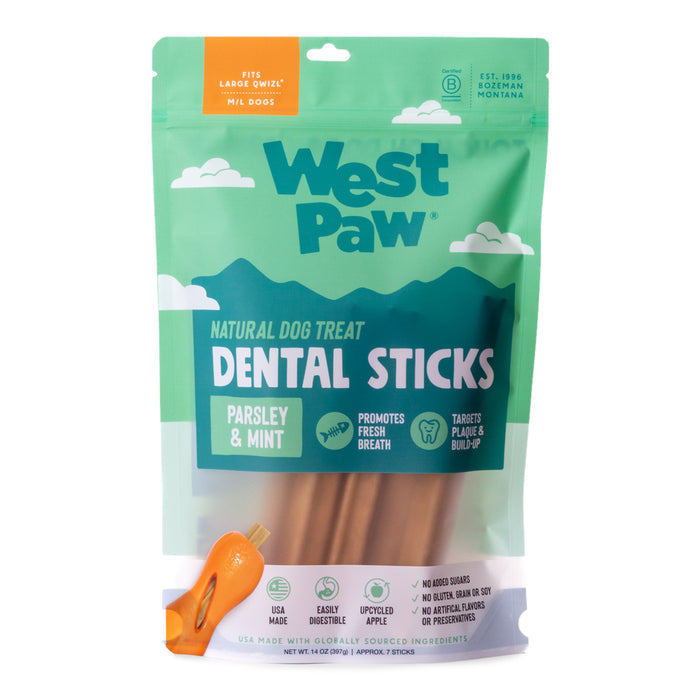 Large Limited Edition Winter Mint Qwizl + Dental Stick Bundle