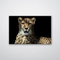Leopard - Print - MetalPlex
