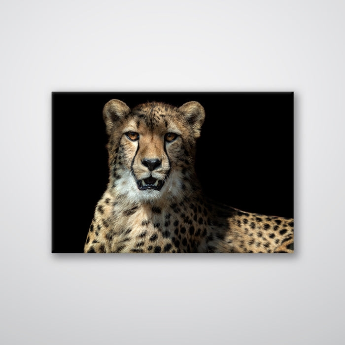 Leopard - Print - MetalPlex