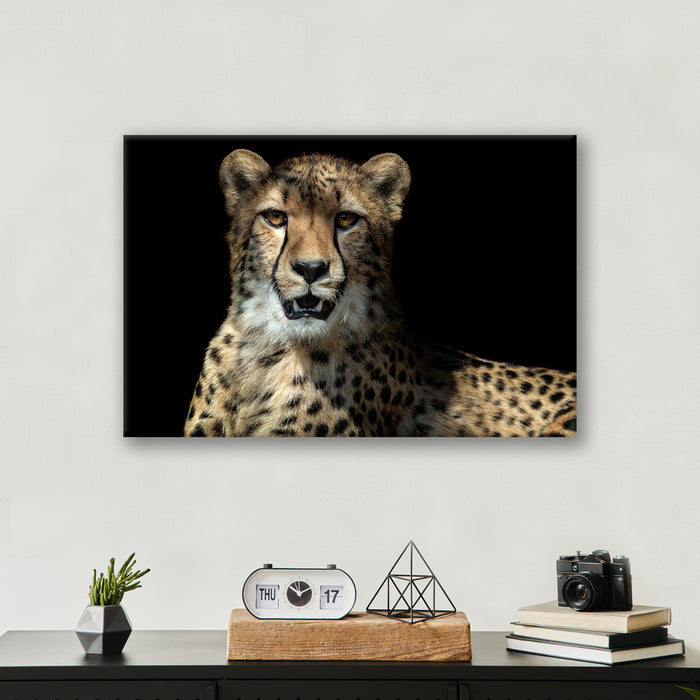 Leopard - Print - MetalPlex
