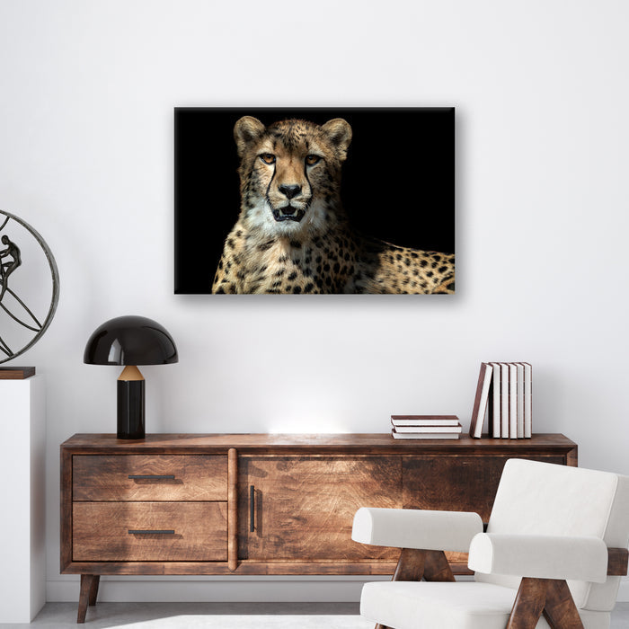 Leopard - Print - MetalPlex