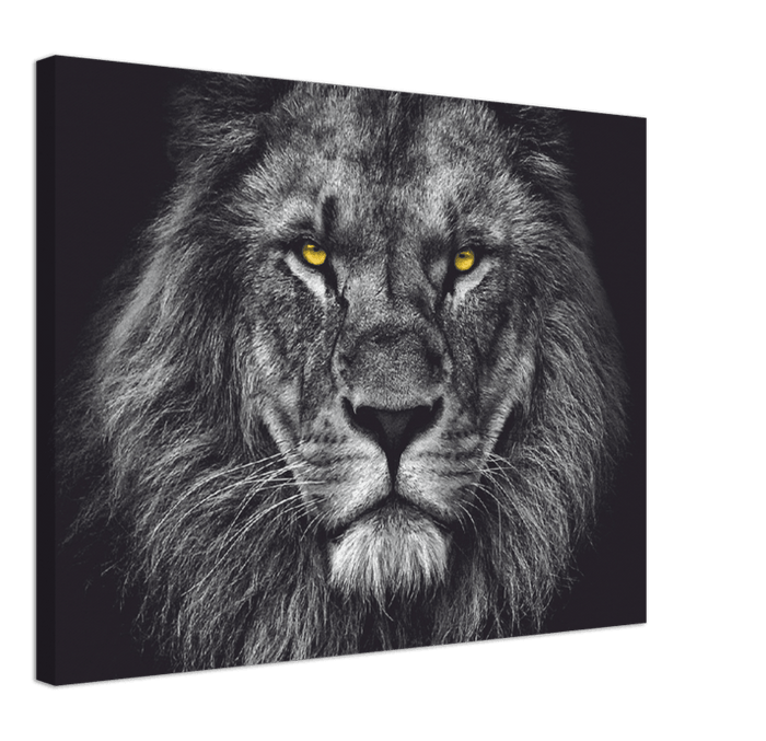 Lion Head - Print - MetalPlex