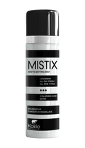 MISTIX SETTING SPRAY