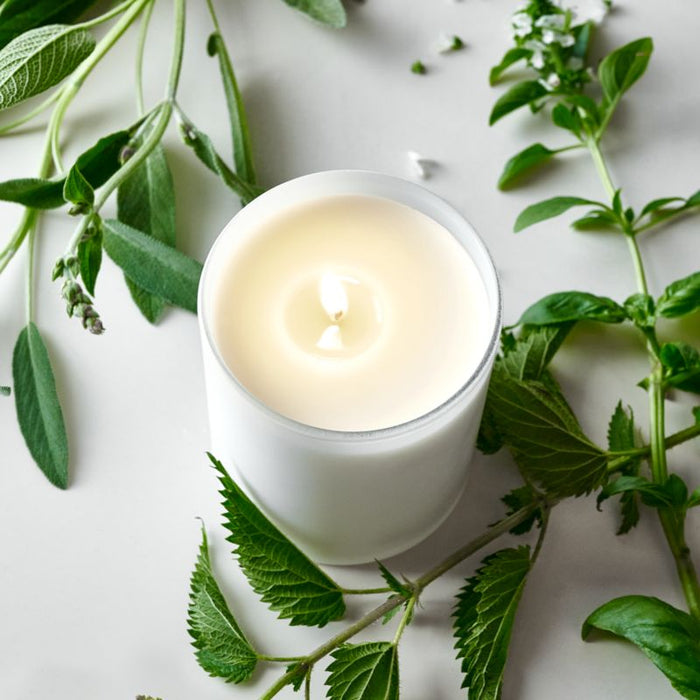 Monochrome No. 01 Blanc Scented Candle - Basil, Nettle Flower and Sage